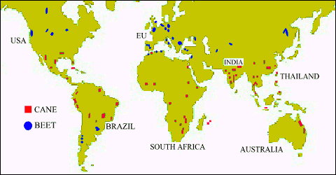 World  Interactive on World Map