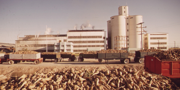 beet factory